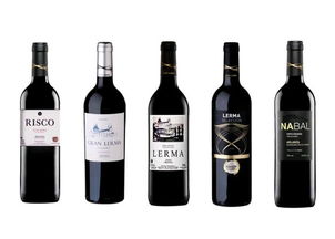 葡萄酒進(jìn)口全流程解析 從國外貨源到國內(nèi)貿(mào)易的一站式服務(wù)指南